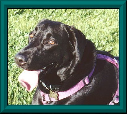 My favorite pic so far...