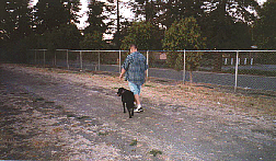 I know Mommy is not taking our picture!