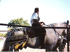 167p14.jpg