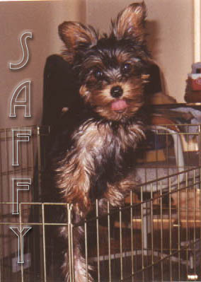 sometime in September...